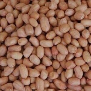 Ground Nuts(china Badam)