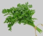 Coriander(Dania patra)