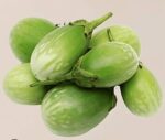 Green brinjal(baigana)