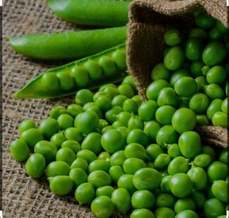 Green motar