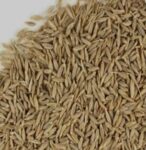 Jeera(cumin Seeds)