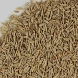 Jeera(cumin Seeds)