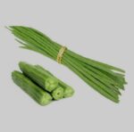 Sajina drumstick