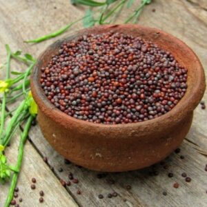 Mustard(sarso)