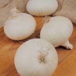 Whit Onion