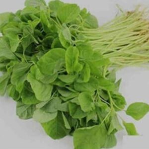 Mixed saag