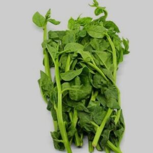 Poi saag