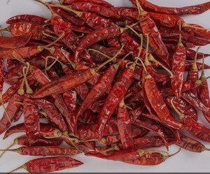 Dry chilly